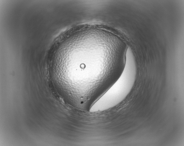 X0000056031398200509092153