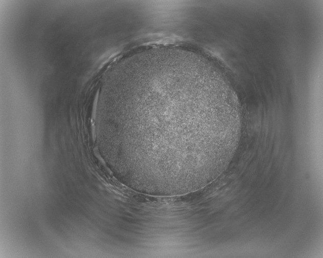 X0000056031399200509092153