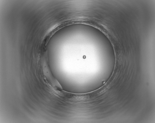 X0000056031402200509092153