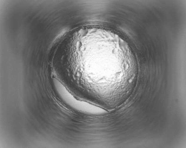 X0000056031403200509092153