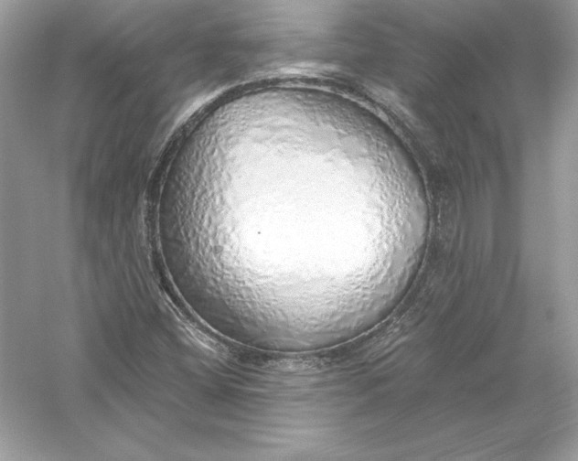 X0000056031404200509092153