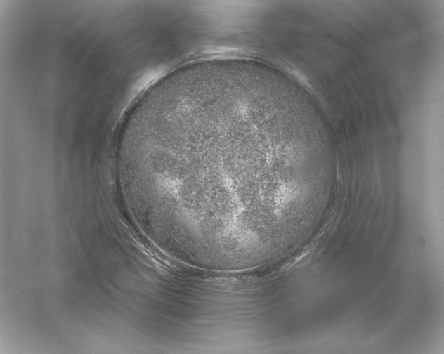 X0000056031405200509092153