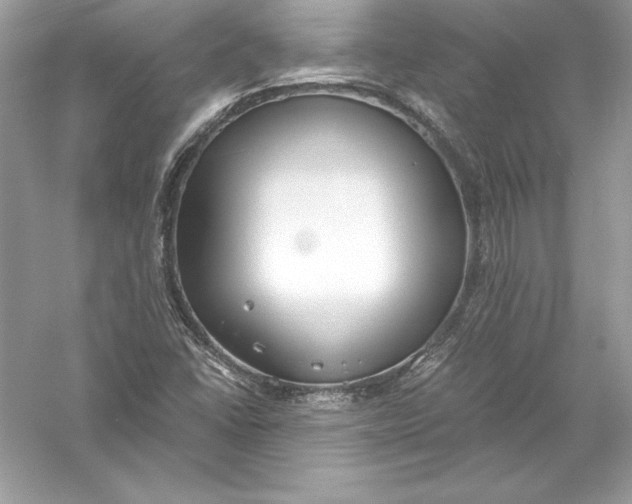 X0000056031406200509092153