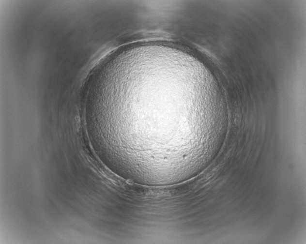 X0000056031407200509092153