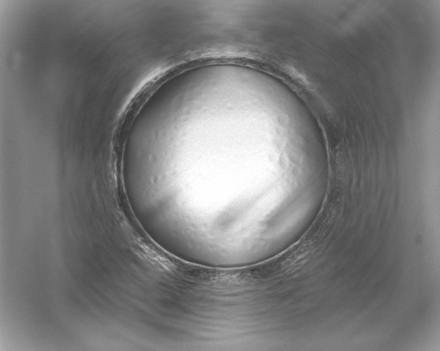 X0000056031408200509092153