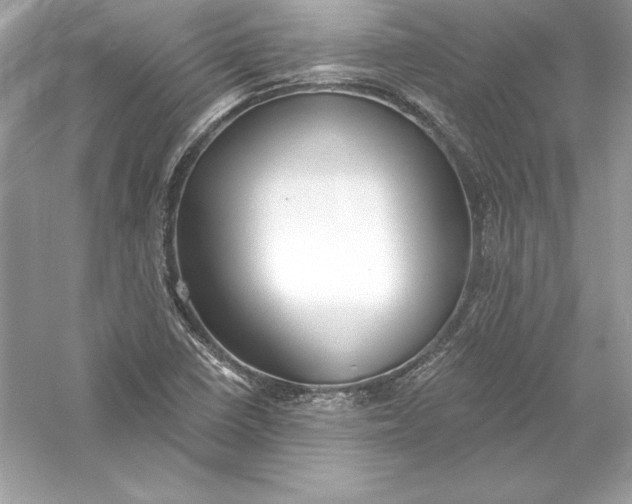 X0000056031410200509092153