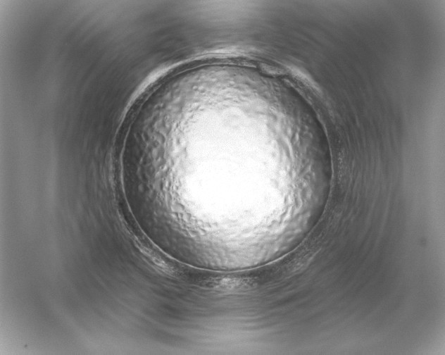 X0000056031412200509092153