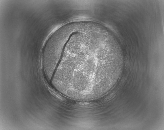 X0000056031413200509092153