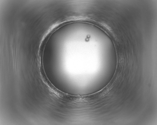 X0000056031414200509092153