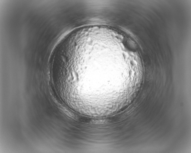 X0000056031415200509092153