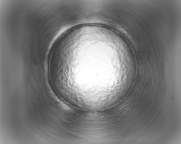 X0000056031416200509092153