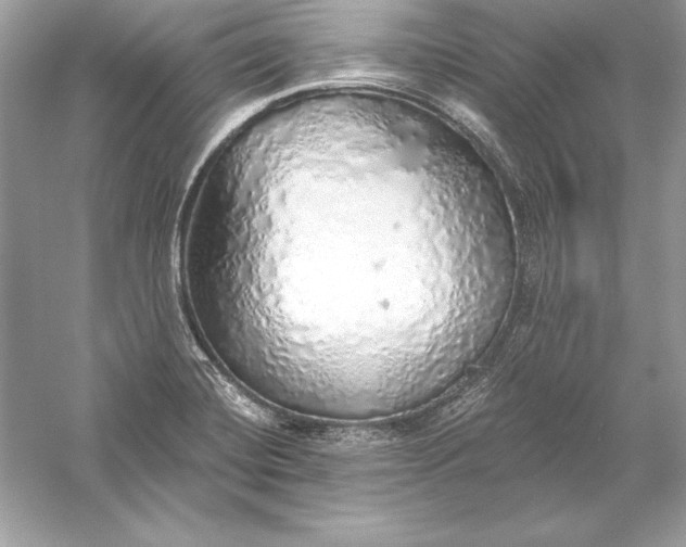 X0000056031420200509092153