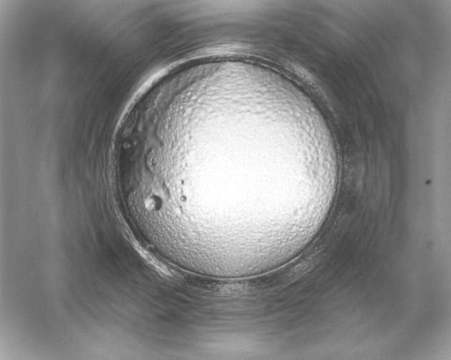 X0000056031421200509092153