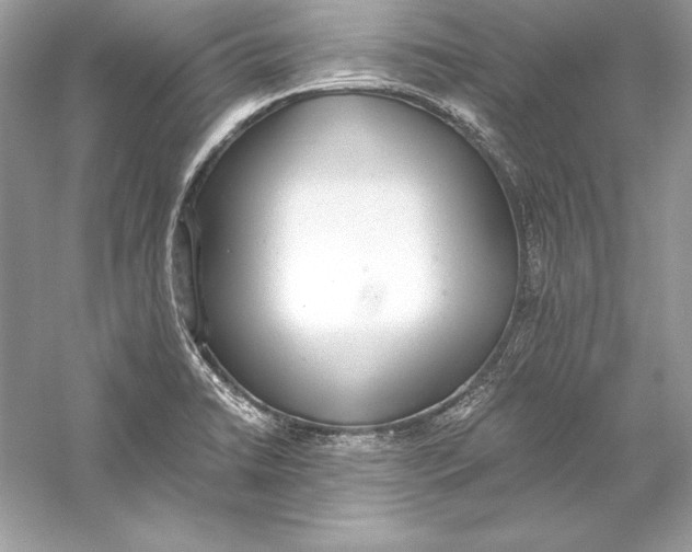 X0000056031422200509092153