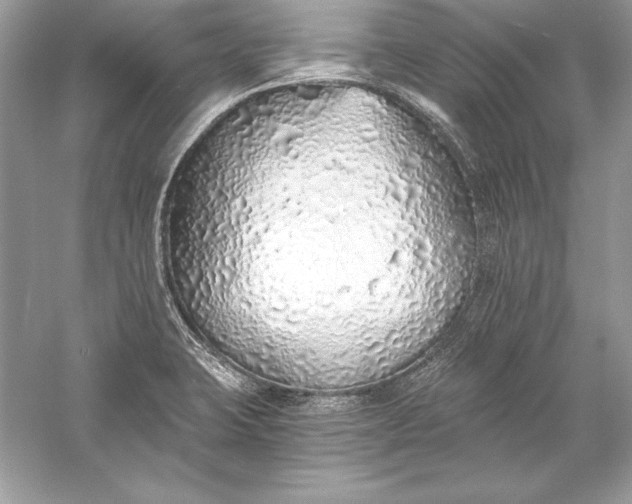 X0000056031423200509092153