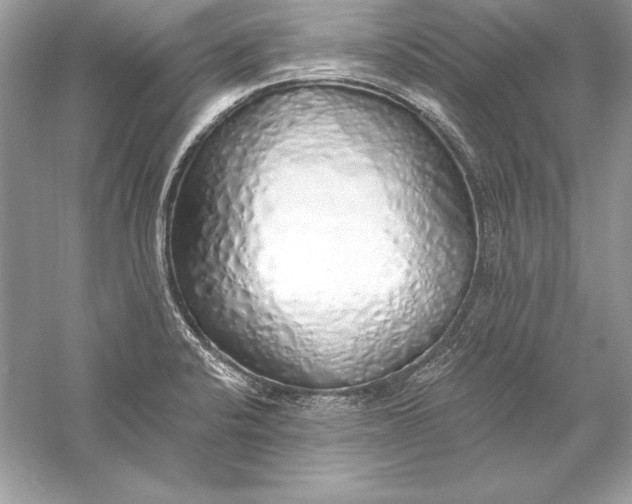 X0000056031424200509092153