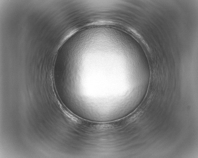 X0000056031425200509092153