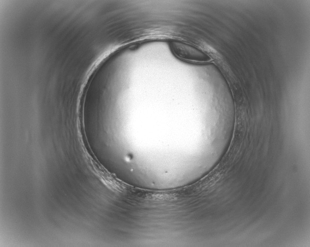 X0000056031427200509092153