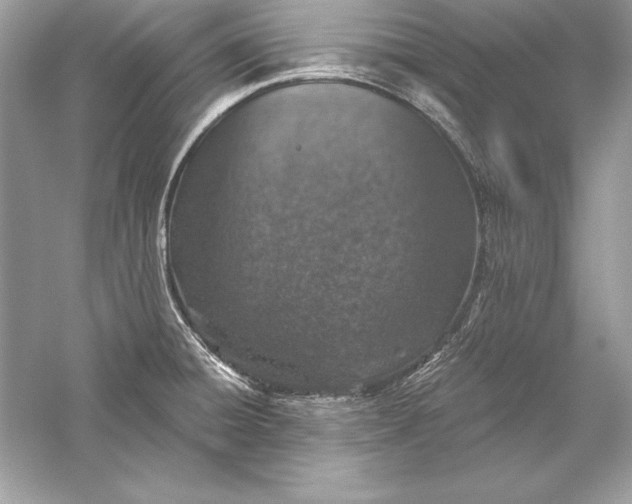 X0000056031428200509092153