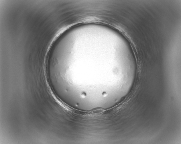 X0000056031429200509092153