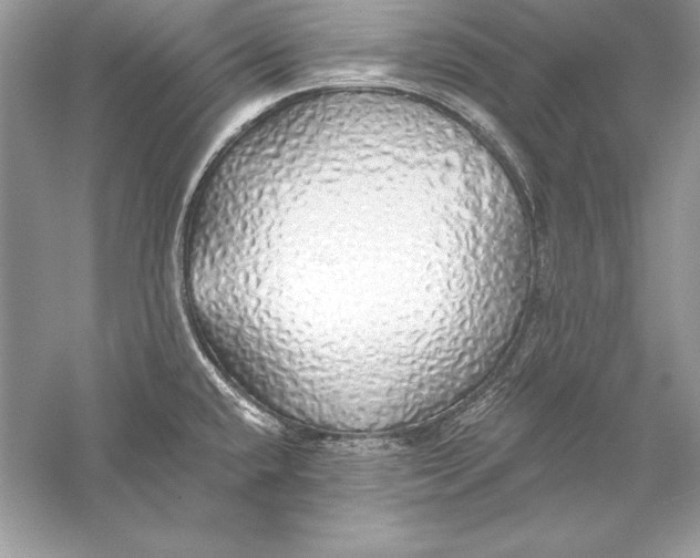 X0000056031432200509092153