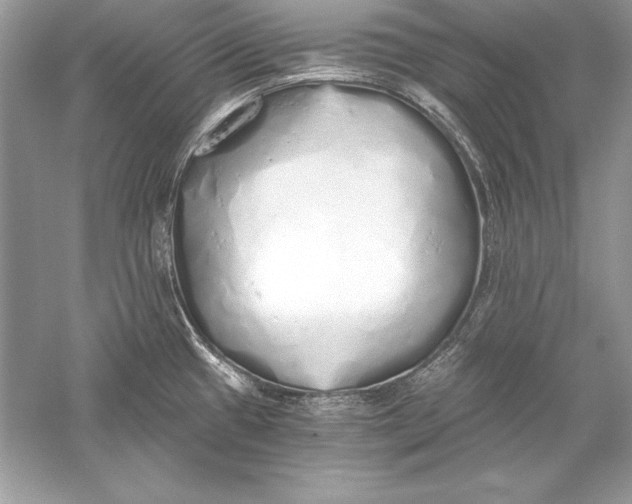 X0000056031433200509092153