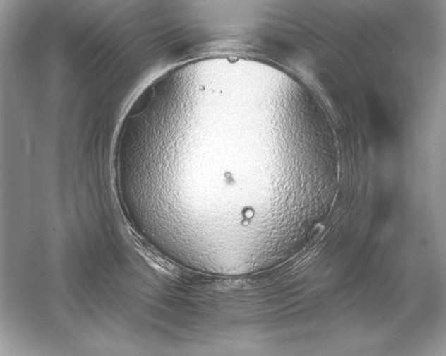 X0000056031435200509092153