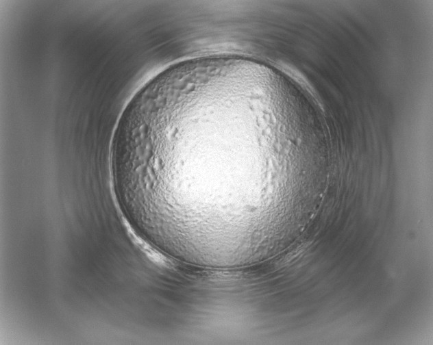 X0000056031439200509092153