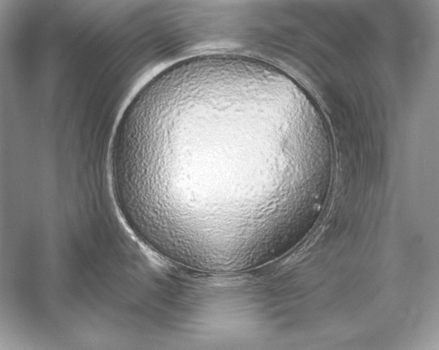 X0000056031440200509092153