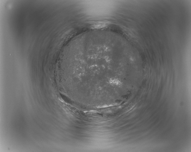 X0000056031441200509092153