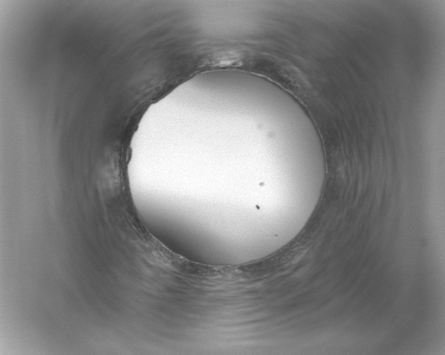 X0000056031442200509092153