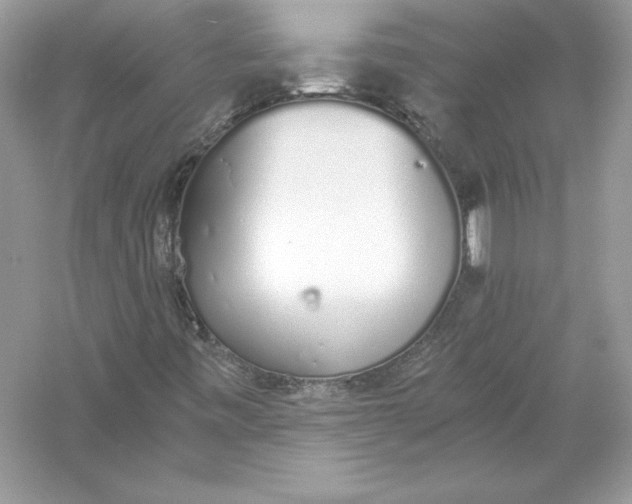 X0000056031443200509092153