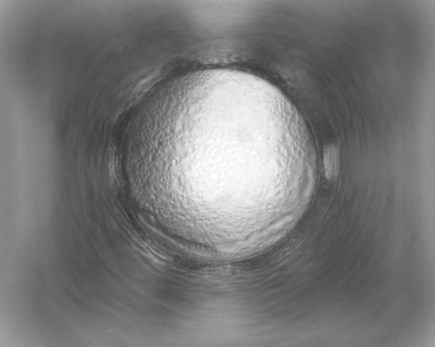 X0000056031444200509092153