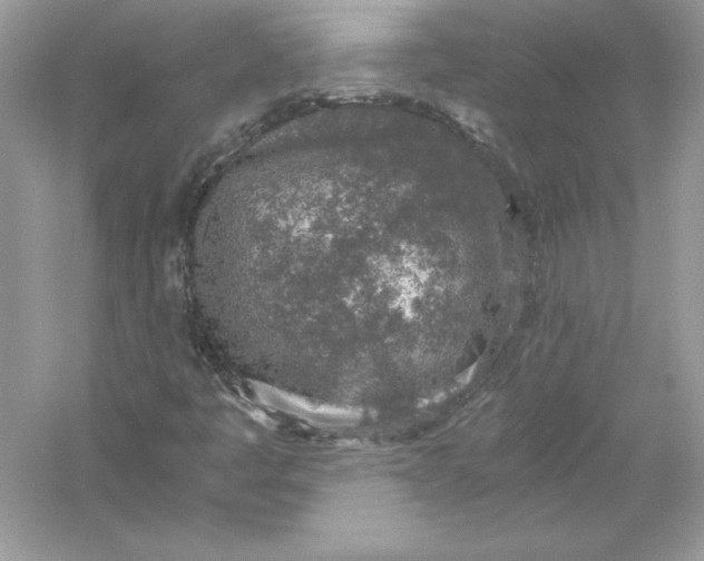 X0000056031445200509092153