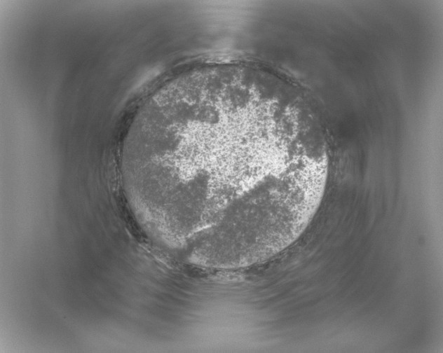 X0000056031446200509092153