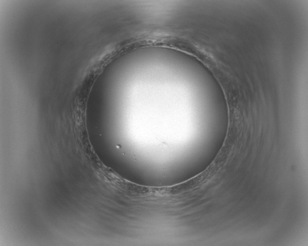 X0000056031447200509092153