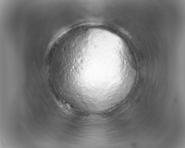 X0000056031448200509092153