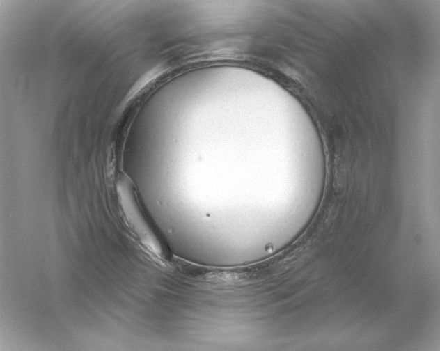 X0000056031450200509092152