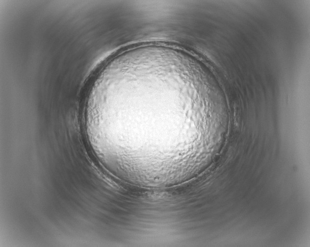 X0000056031452200509092152