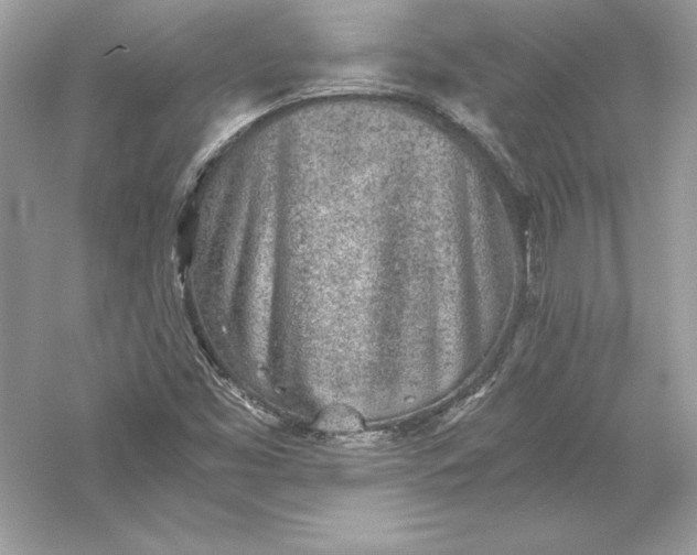 X0000056031453200509092152