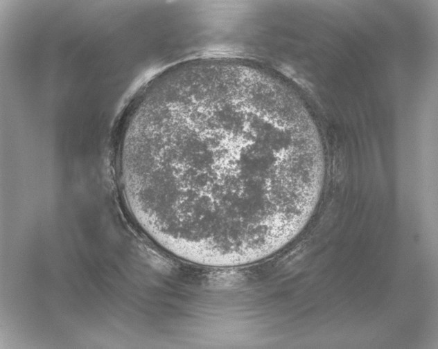 X0000056031454200509092152