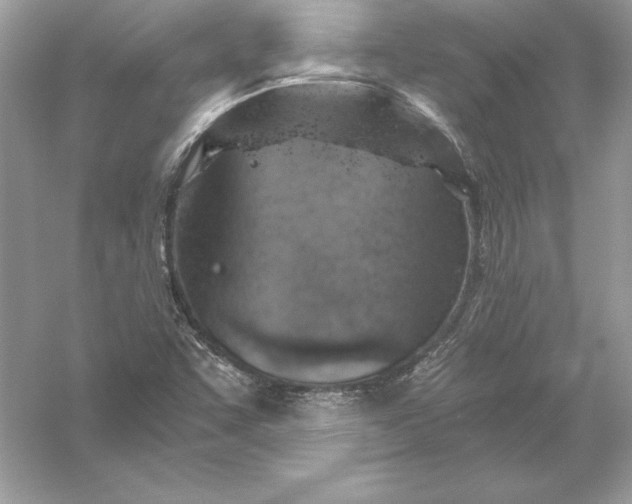 X0000056031455200509092152