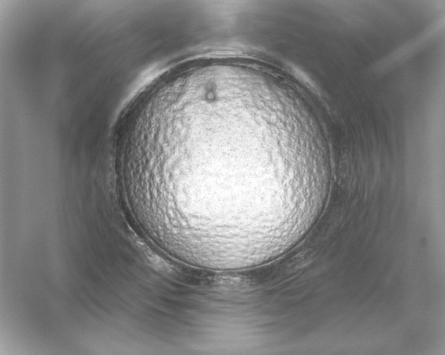 X0000056031456200509092152