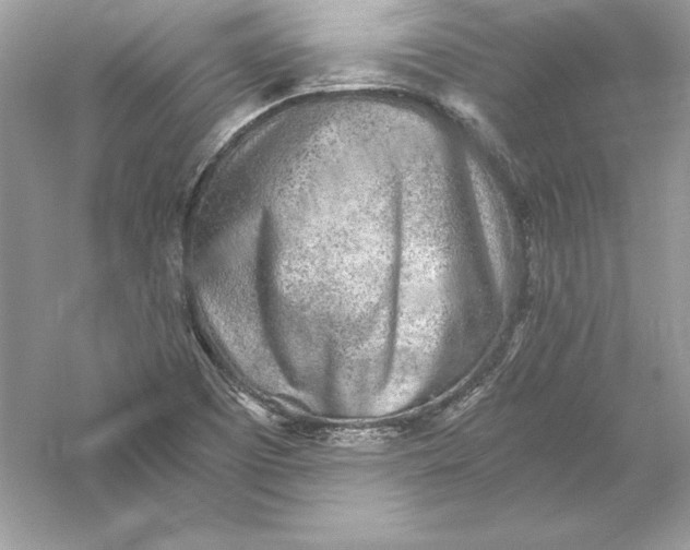 X0000056031457200509092152