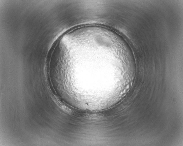 X0000056031460200509092152