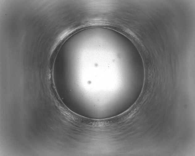 X0000056031461200509092152