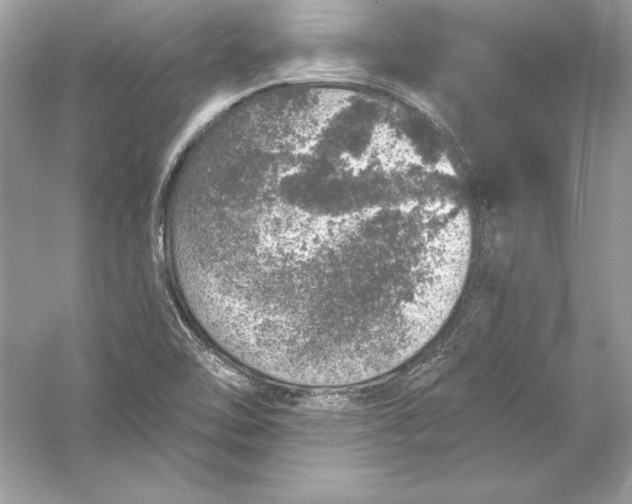 X0000056031462200509092152