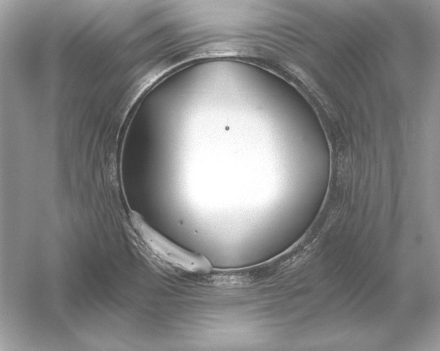 X0000056031465200509092152