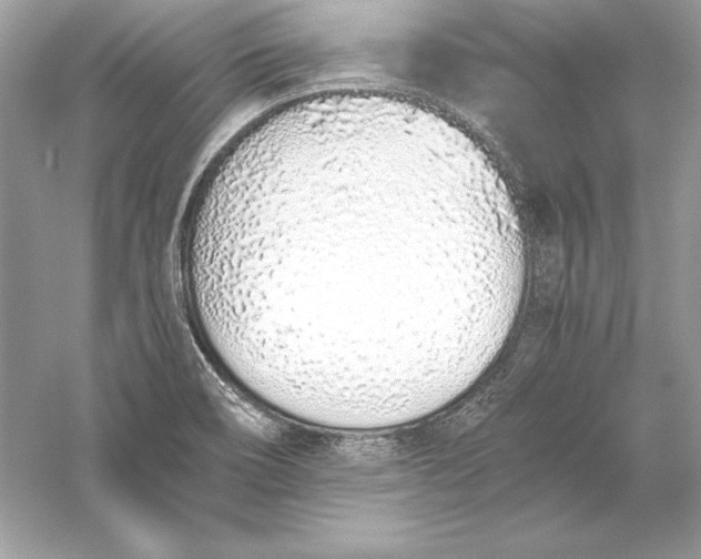 X0000056031466200509092152