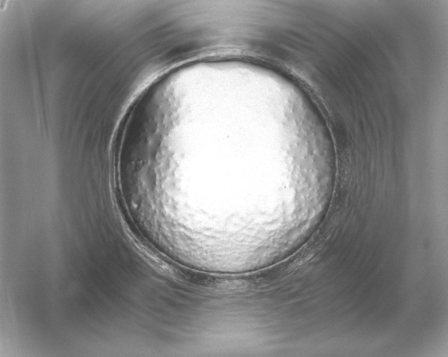 X0000056031467200509092152